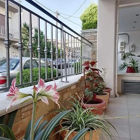 Hirondelles Volos